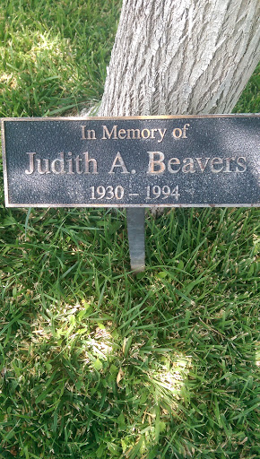 Judith Beavers Memorial Tree