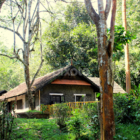 forest house by Kalai Vanan - Buildings & Architecture Homes