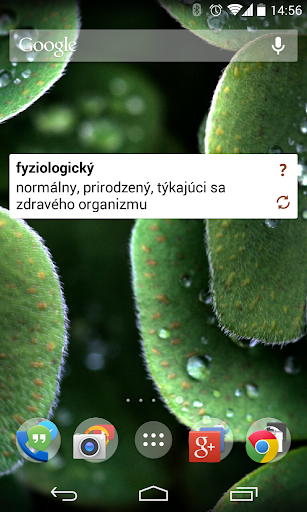 【免費書籍App】Veľký slovník cudzích slov SK-APP點子