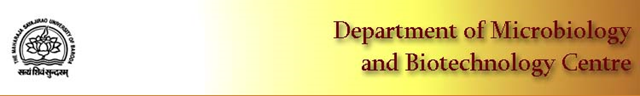 [image[3].png]