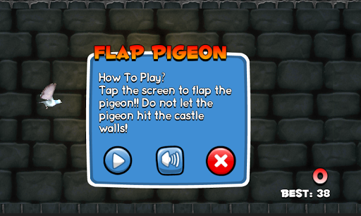 Flap Pigeon