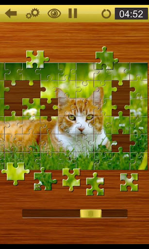 Jigsaw Puzzles Journey Game