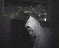 [mayweather_security[2].jpg]