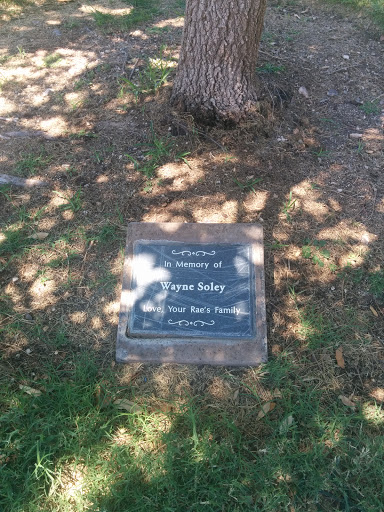 Green Valley Park Wayne Solely Memorial