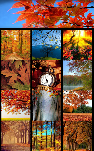 Autumn Wallpapers