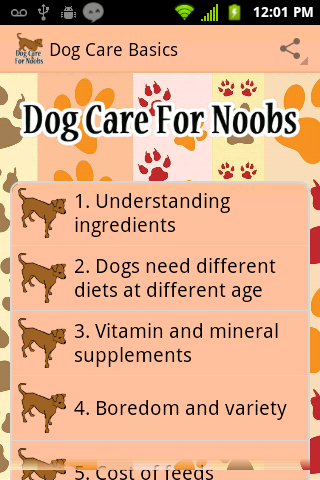 Basics of Dog Care