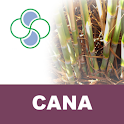 Cana Stoller logo