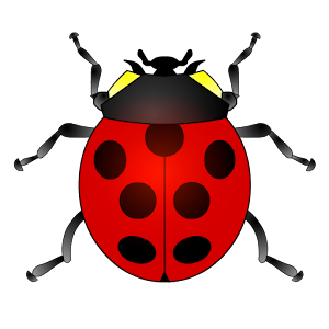 The ladybug game for kids 1.0