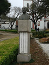 Estatua Dr. Afonso Alves De Camargo
