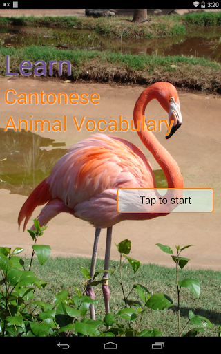 Learn Cantonese Animal Voc___