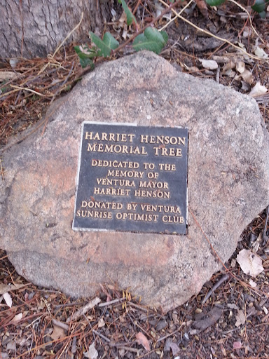 Harriet Henson Memorial Tree