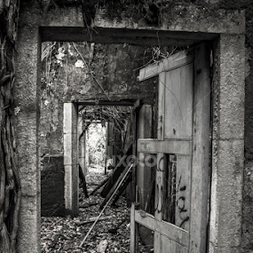 Baron Hill Mansion by Dylan Barlow - Buildings & Architecture Decaying & Abandoned