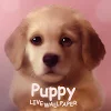 Puppy Lite icon