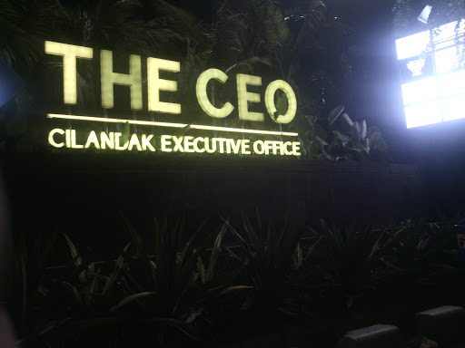 CEO Fountain