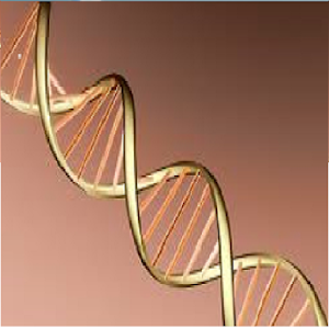 Higher Biology Quiz 2.apk 1.2