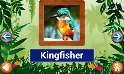 Animals and Birds by Intellisense poster 2