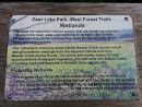 Deer Lake Park - Wetlands