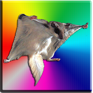 Flying Squirrel 1.0