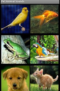 How to download Pet Animal Sounds Free lastet apk for laptop