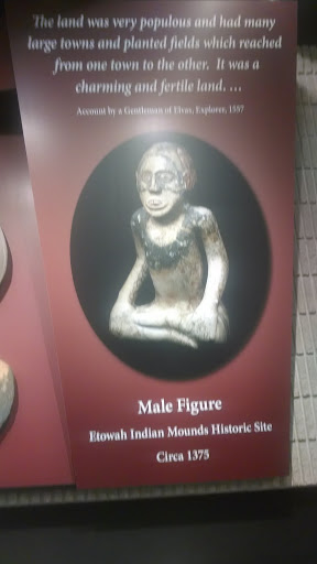 The Male Figure