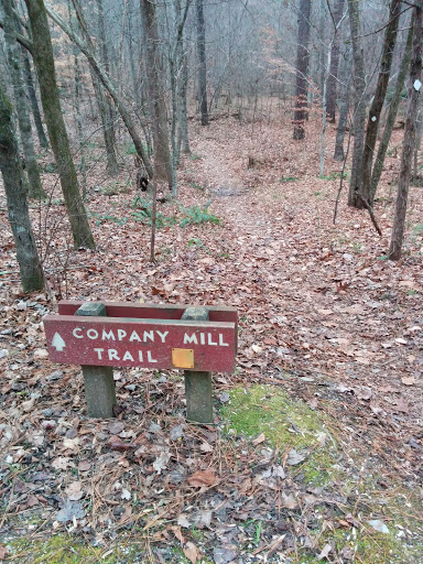 Umstead State Park - Company Mill Trail At Graylyn