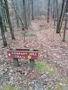 Umstead State Park - Company Mill Trail At Graylyn