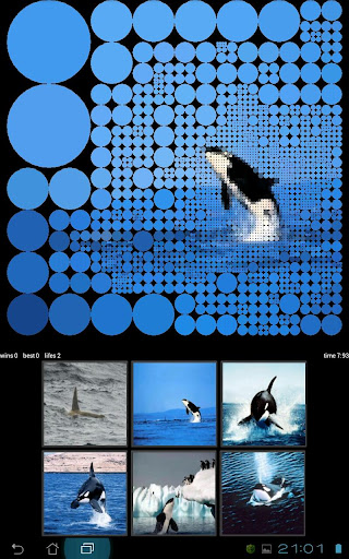 【免費解謎App】Guess Killer Whale Pictures HD-APP點子