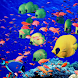 Touch Finger LWP Ocean Animals