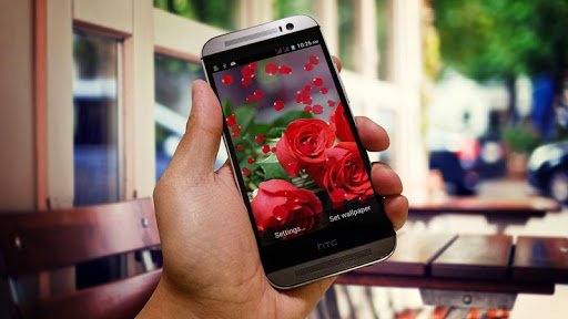 【免費個人化App】Red Rose HD LiveWallpaper-APP點子