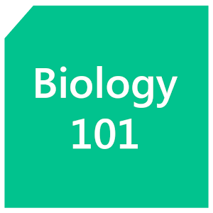 Biology 101