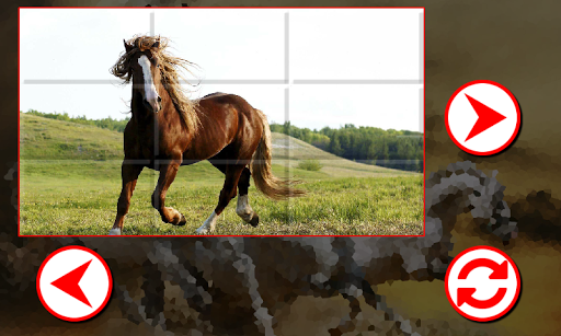 Beautiful Horses Puzzles