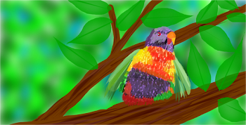 Lorikeet