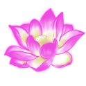 (No Ads) C.T.O.T.D. logo