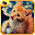 Cat Puzzles - Jigsaw Download on Windows