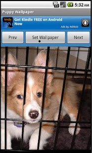 How to download Puppy Wallpaper (Free) lastet apk for bluestacks