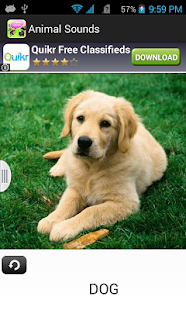 How to download Animal Sounds Game 2015 lastet apk for laptop