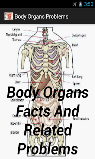 Body Organs Facts