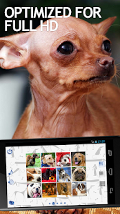 How to get Jigsaw Puzzles Dogs 1.0.2 unlimited apk for bluestacks