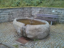 Brunnen am Waldrand