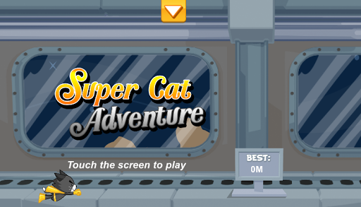 Super Cat Adventure