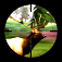 3D Hunting ™: Trophy Whitetail mobile app icon