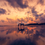 the beach by Jayanta Basu -  