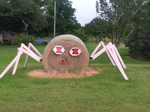 Spider Hay Art