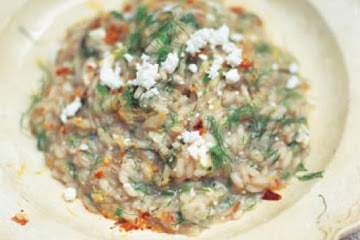 Fennel risotto with ricotta and dried chilli (Risotto ai finocchi con ricotta e peperoncino)