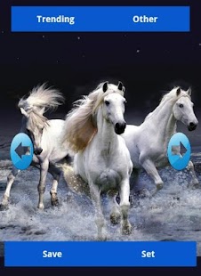 Horse Wallpapers Screenshots 2