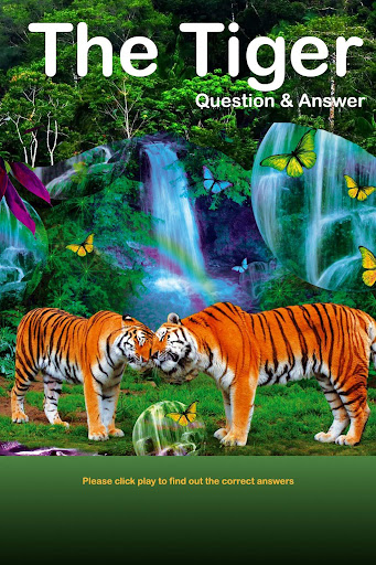 Kids Tiger Quiz Audio Answers