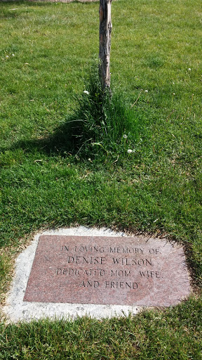Denise Wilson Memorial Tree 