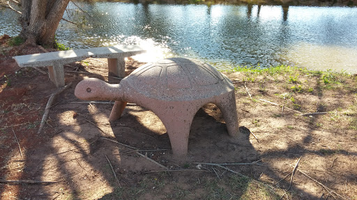 Myrtle the Stone Turtle