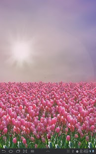 How to get Tulip Field Free 3.09 mod apk for bluestacks
