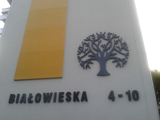 Drzewo Na Białowieskiej